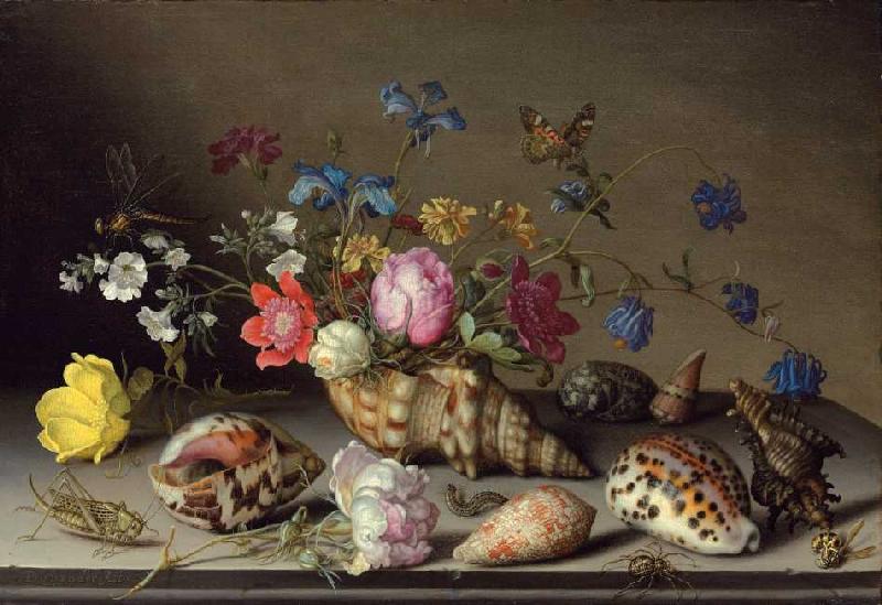 Blumen, Muscheln und Insekten auf einem Steingesims. von Balthasar van der Ast