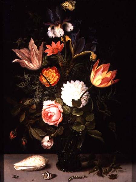 Still Life of Flowers in a Roemer with Two Shells von Balthasar van der Ast