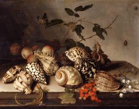 Muscheln und Fruechte 1650