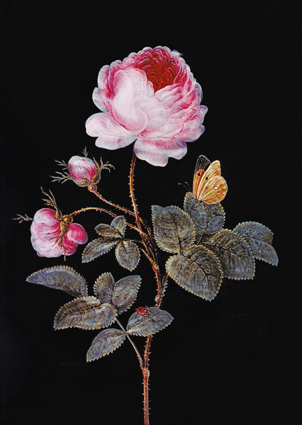 Die hundertblättrige Rose von Barbara Regina Dietzsch