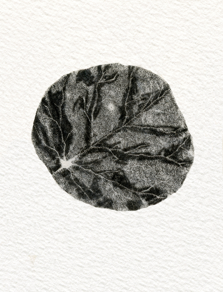 Leaf von Bella Larsson