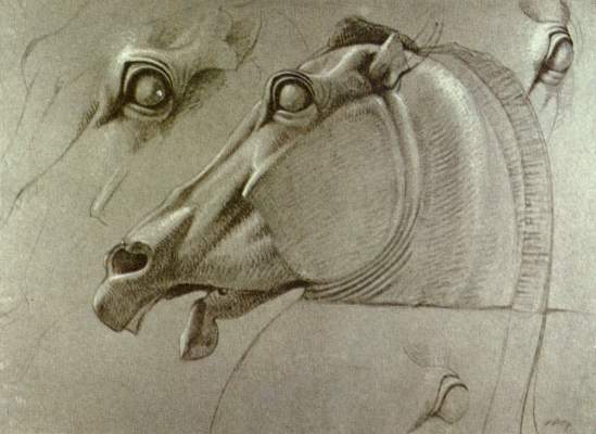 Kopf des Pferdes der Selene von Benjamin Robert Haydon