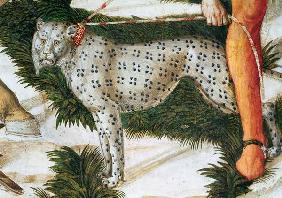 Leopard straining on a leash, detail from the Journey of the Magi cycle in the chapel c.1460