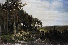 Landschaft 1870