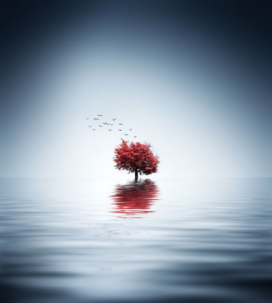 Herbstbäume reflektierten blauen See von Bess Hamiti