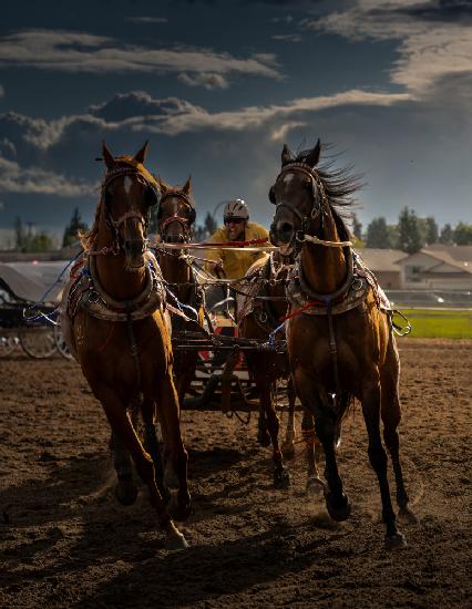 Die Kraft und die Geschwindigkeit,Chuckwagon-Rennen