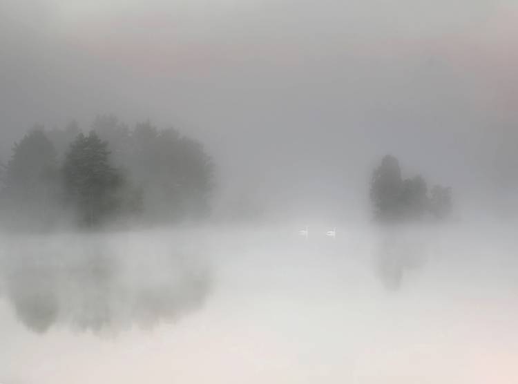 Misty morning von Bjorn Emanuelson