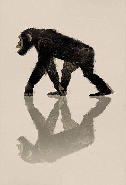 Schimpanse von Dieter Braun