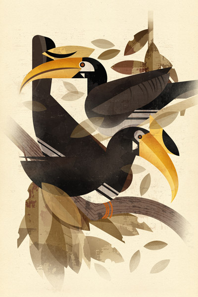Nashornvögel von Dieter Braun