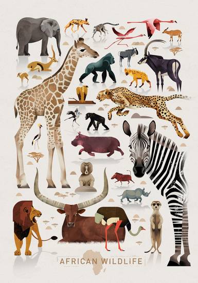 African Wildlife 2018