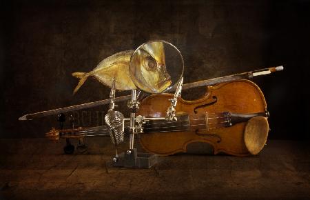 Fisch und Geige