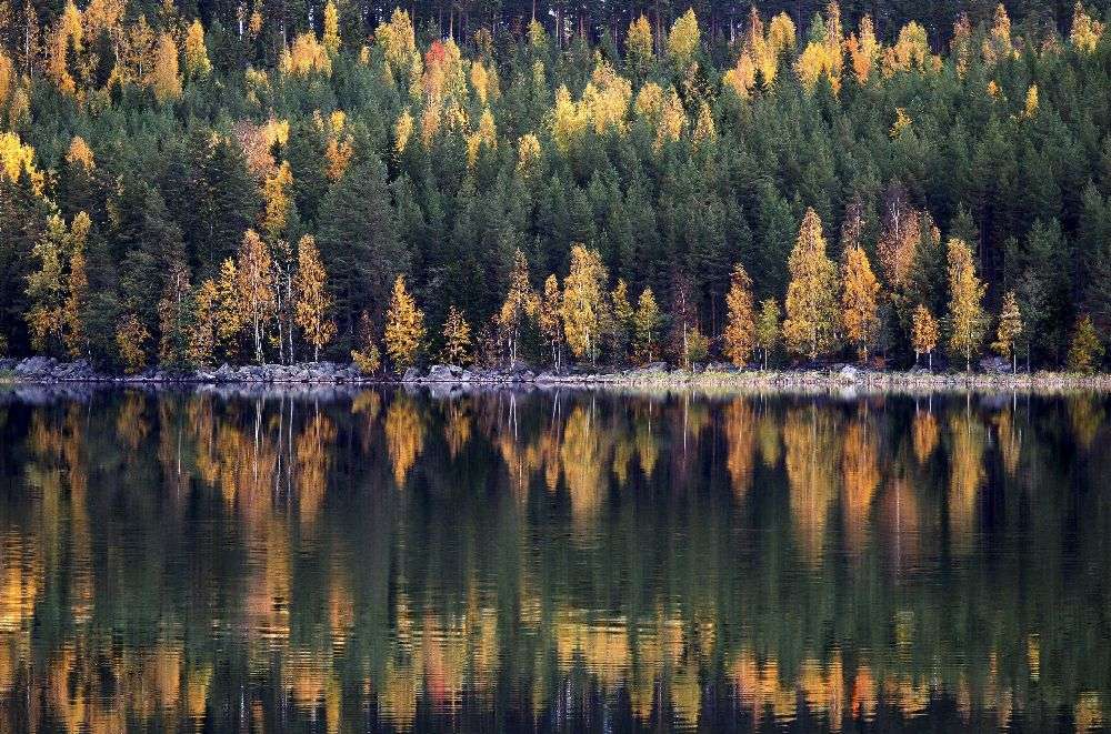 Herbst von Bror Johansson
