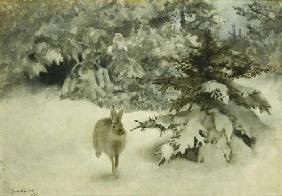 Ein Hase im Schnee 1927
