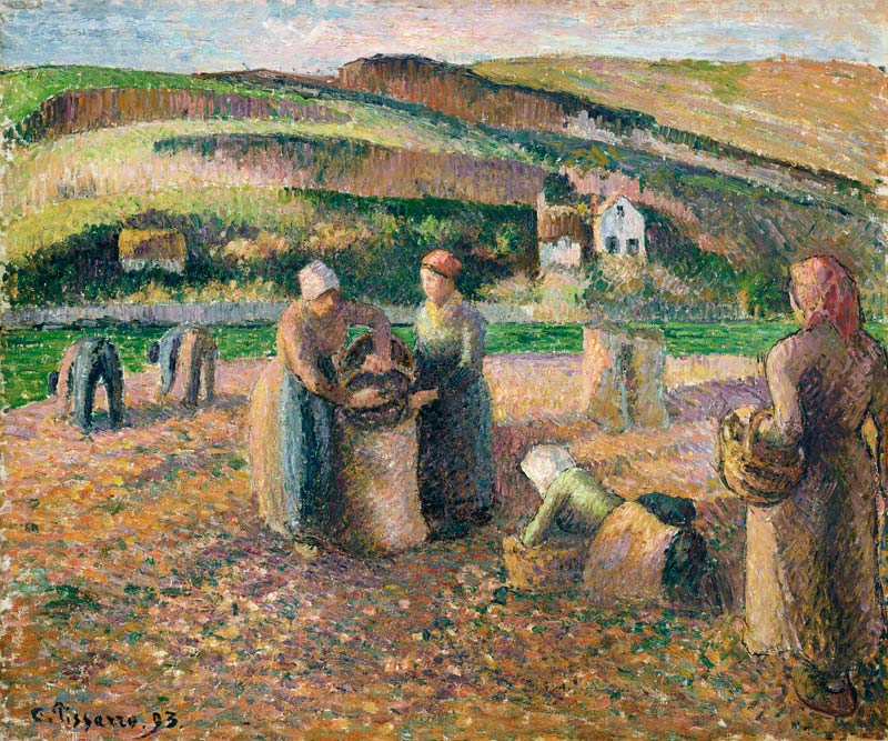 Kartoffelernte von Camille Pissarro