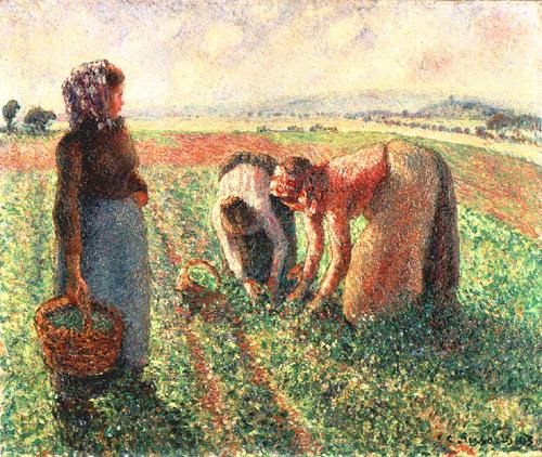 Die Erbsenernte, Eragny von Camille Pissarro