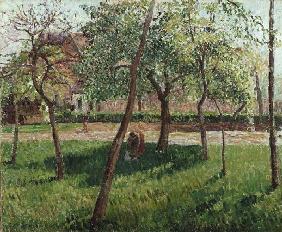 Garten in Eragny 1895