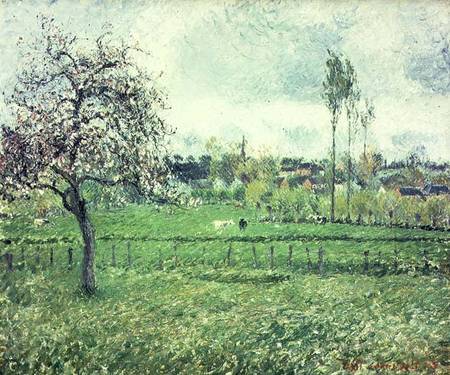 Meadow at Eragny von Camille Pissarro