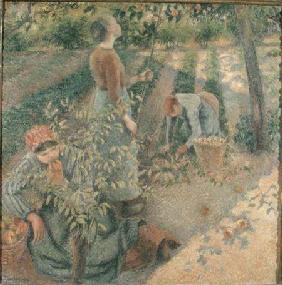 The Apple Pickers 1886