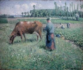 Girl Tending a Cow in Pasture 1874