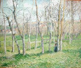 Meadow at Bazincourt 1885