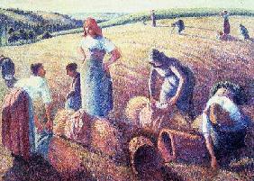 Women Haymaking 1889