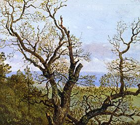 Knorrige Eichen im Frühling von Carl Gustav Carus