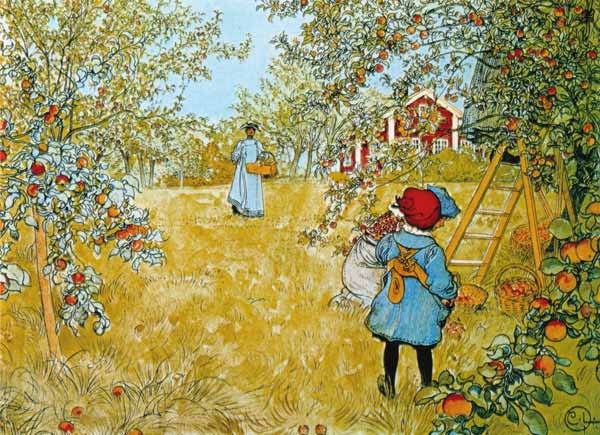 Apfelernte von Carl Larsson