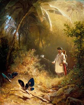 The Butterfly Hunter