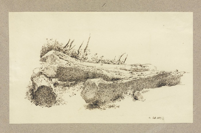 Abgeschlagene Baumstämme von Carl Theodor Reiffenstein
