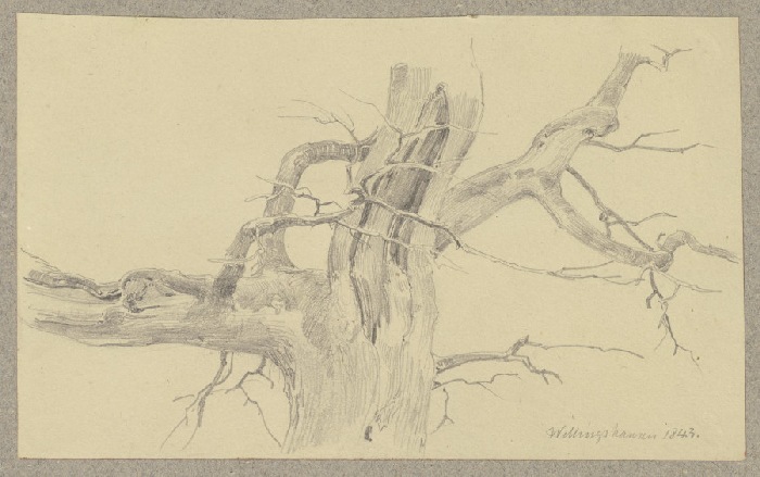 Abgestorbener Baum bei Willingshausen von Carl Theodor Reiffenstein