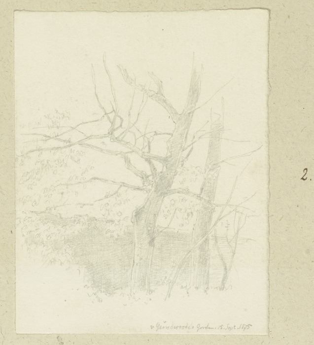Bäume an der Mauer des von Günderroder Gartens von Carl Theodor Reiffenstein