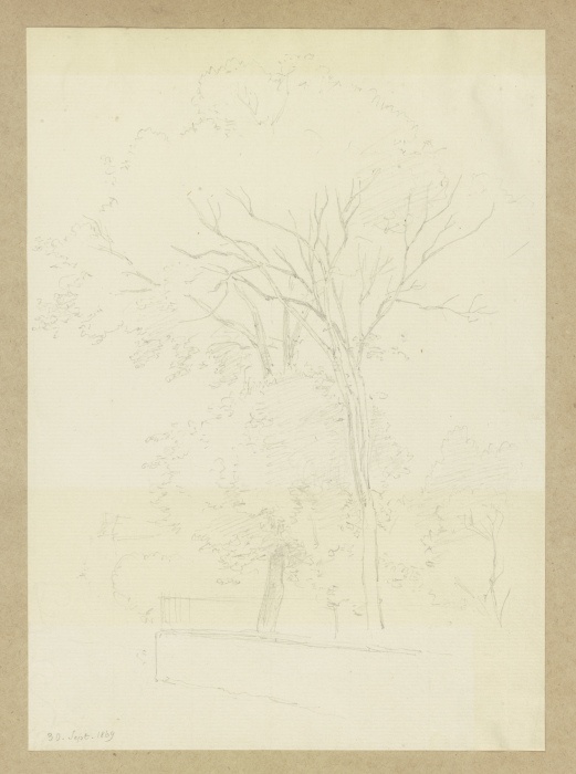 Bäume hinter einer niedrigen Mauer von Carl Theodor Reiffenstein