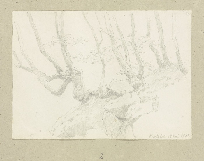 Bäume umgeben von Felsbrocken am Hang bei Bertrich von Carl Theodor Reiffenstein