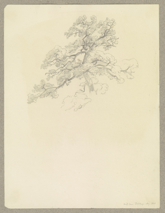 Baum auf dem Feldberg von Carl Theodor Reiffenstein