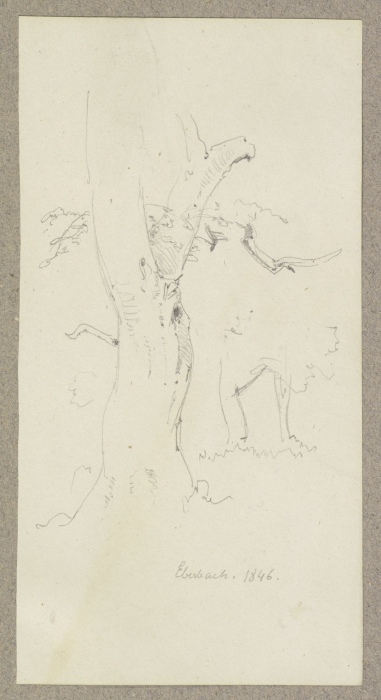 Baum bei Eberbach von Carl Theodor Reiffenstein