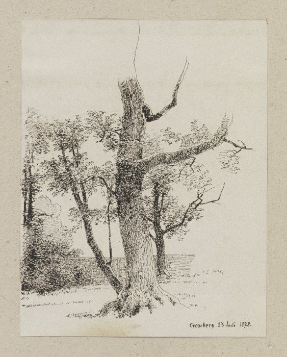 Baum in Kronberg von Carl Theodor Reiffenstein
