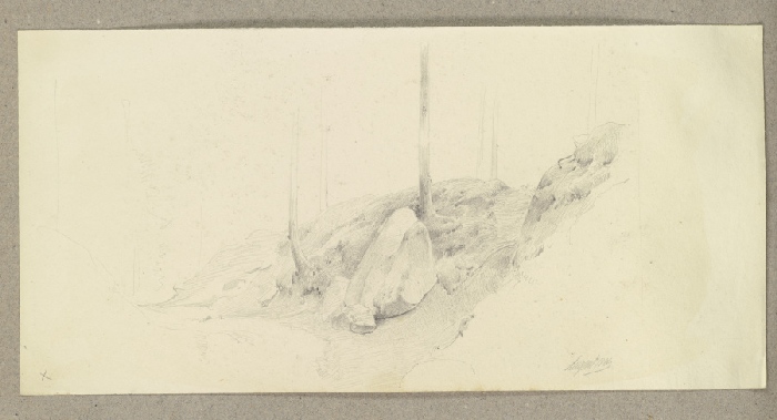 Gesteinsbrocken in einem Waldstück von Carl Theodor Reiffenstein