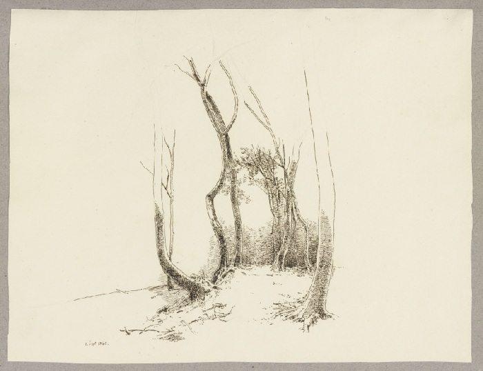 Gruppe kahler Bäume von Carl Theodor Reiffenstein