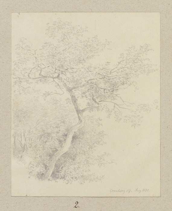 Junger Baum in Kronberg von Carl Theodor Reiffenstein