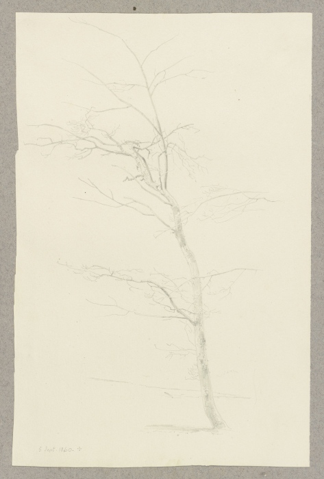 Junger kahler Baum von Carl Theodor Reiffenstein