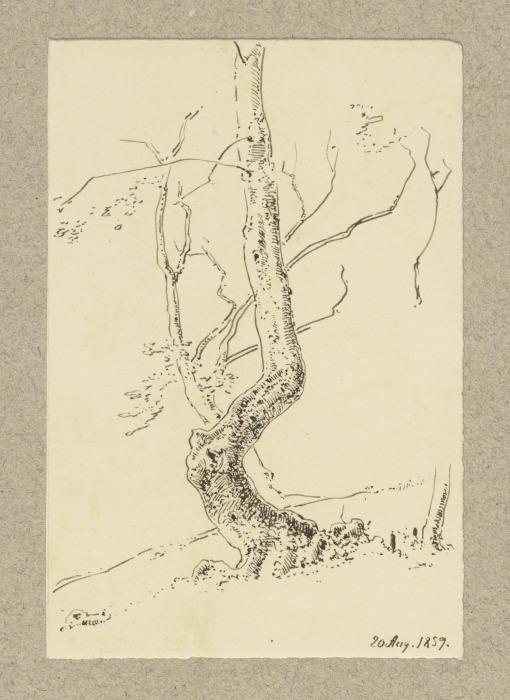 Krumm gewachsener Baum von Carl Theodor Reiffenstein
