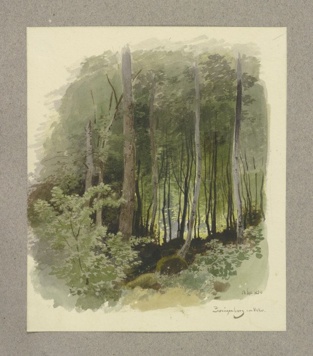 Wald bei Zwingenberg am Neckar von Carl Theodor Reiffenstein