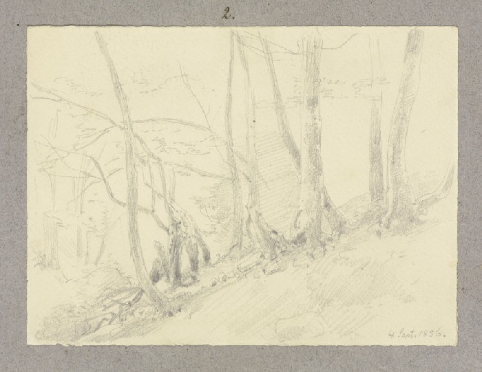 Waldhang von Carl Theodor Reiffenstein