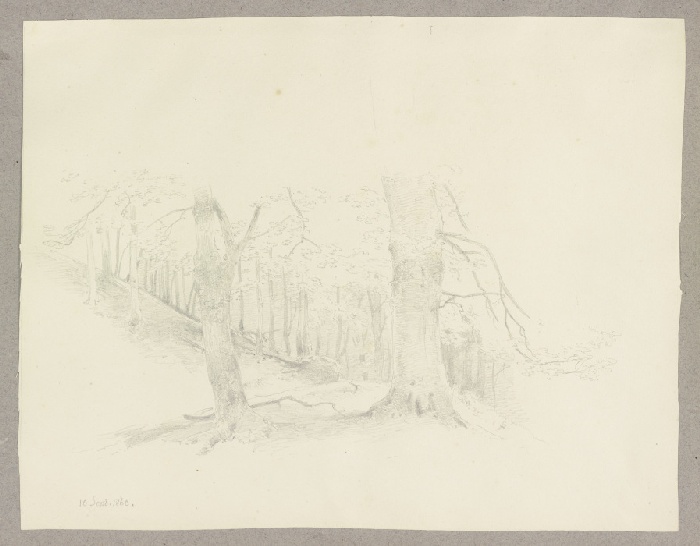 Waldpartie von Carl Theodor Reiffenstein