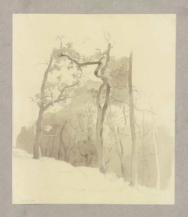 Waldpartie von Carl Theodor Reiffenstein