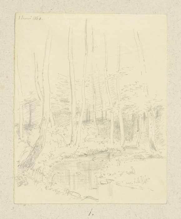 Waldpartie mit Wasserlauf von Carl Theodor Reiffenstein