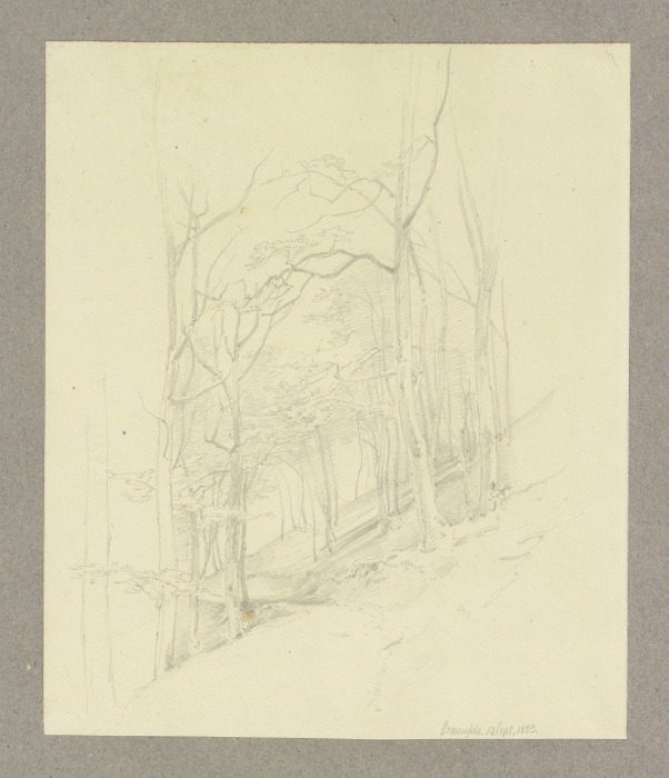 Waldstück an einem Hang bei Braunfels von Carl Theodor Reiffenstein