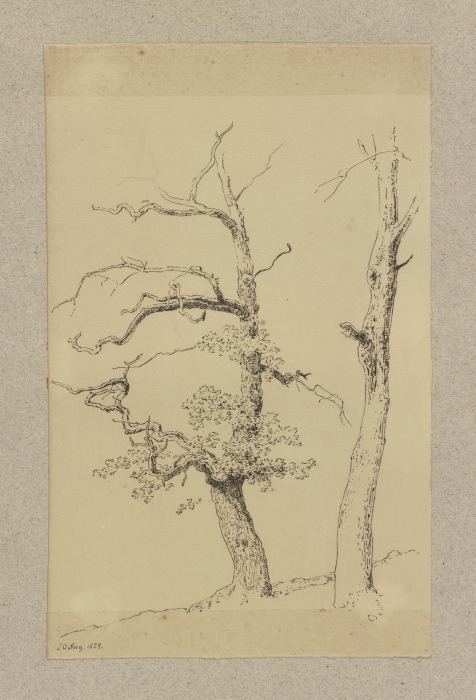Zwei Bäume von Carl Theodor Reiffenstein