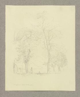 Zwei Figuren unter Bäumen in Wimpfen