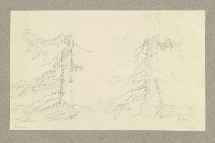 Zwei Nadelbäume im Ilsetal von Carl Theodor Reiffenstein